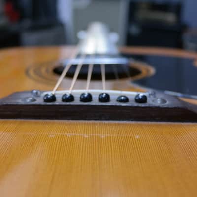Eko Ranger VI Electroacoustic (Hard Case included) image 25