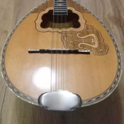 Greek Bouzouki & hardcase & pickup & 300 backing track with pdf scores 8 string image 2