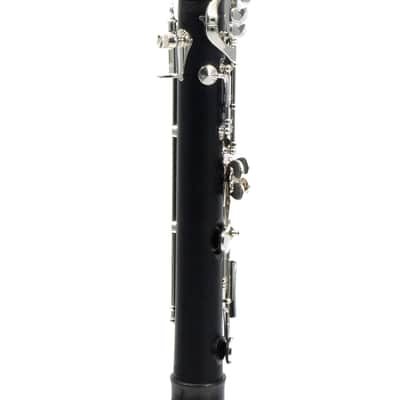 Backun 'Lumiere' Custom Grenadilla Clarinet in Bb SN 829 OPEN BOX image 16