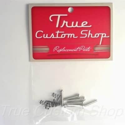 True Custom Shop® Chrome USA Size Pickup Mounting Springs & Screws for Fender Strat image 2
