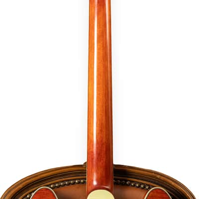 Eastman T59-TV Vintage Amber image 5