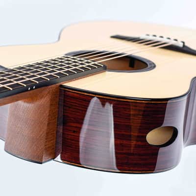 Dion Guitars No. 4 Italian Spruce Cocobolo image 10