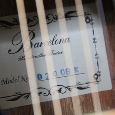 Barcelona Hancrafted Acoustic Guitar- Black Finish with Case image 12