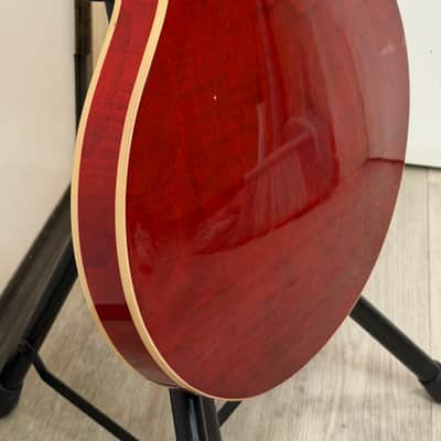 Gibson ES-335 2024 - Cherry Figured Top image 14