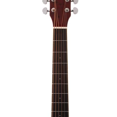 Washburn DFBDA Deep Forest Burl Collection Dreadnought Acoustic Guitar-Amber Fade Gloss image 5
