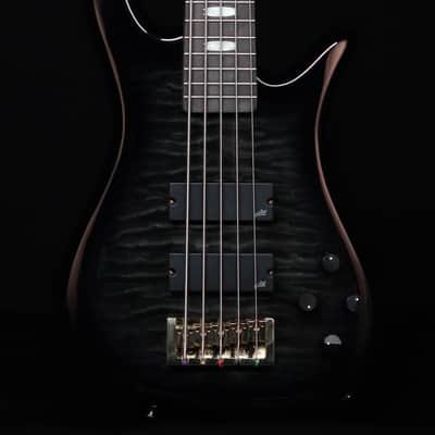 Spector Rex 5 | Reverb