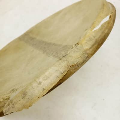 *Leedy Standard Uka Transparent Snare Resonant 14"Calf Skin Slunk Drum Head 30s* image 3
