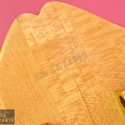 Vintage 1984 Fender D'Aquisto Elite Archtop 1st year example in very rare Blonde! image 19