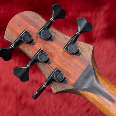 Olive Instruments Limba5 Semi-Hollow 3.76kg【横浜店】 | Reverb Canada