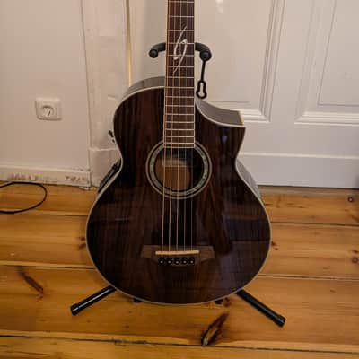 Ibanez Acoustic Bass (5 String) EWB205WNE-NT image 1