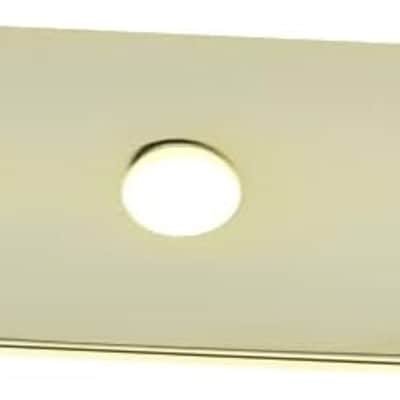 Tele Guitar Control Plate with 25/64" Diameter Pot Holes for Telecaster Guitar with CTS Pots Gold image 2