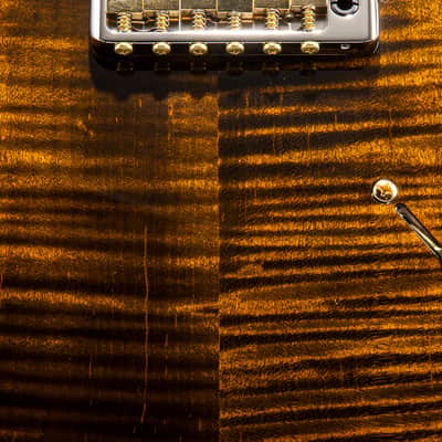 Paul Reed Smith Modern Eagle V Yellow Tiger image 6