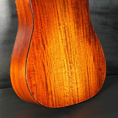 Eastman E10D image 2
