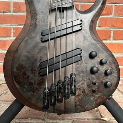 Ibanez BTB805MS-TGF Bass Workshop 2022 - Present - Transparent Gray Flat image 5