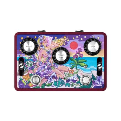 Aclam Guitars The Woman Tone