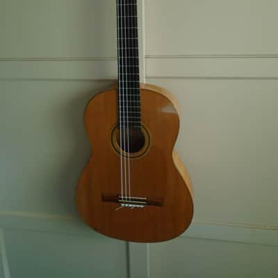 1978 Mitsuru Tamura flamenco blanca image 9