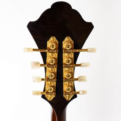 Monteleone Grand Artist Mandolin #164 image 13