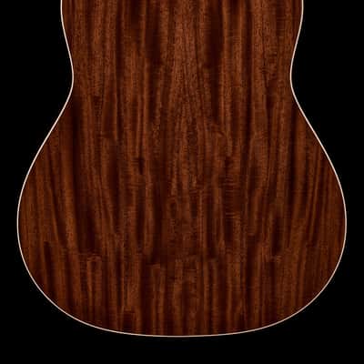 Taylor Gold Label 517e - Sunburst #06075 image 2