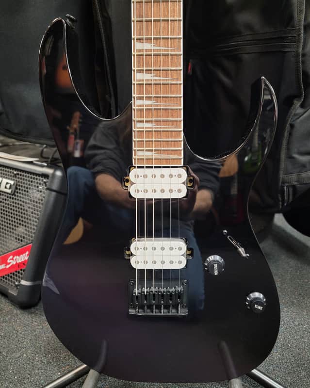 Ibanez RG421DX Electric Guitar TWS Twilight Shade, Free Shipping! image 1