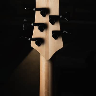 Fodera Emperor 5 Standard Special Poplar Burl 2023 image 11