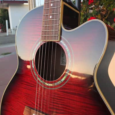 Ibanez AEL20-TRS-14-01 image 4