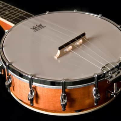 Oscar Schmidt OUB1 | 4-string Concert Banjolele. New with Full Warranty! image 2