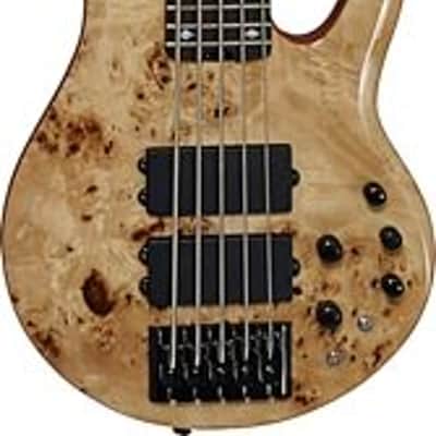 Michael Kelly Pinnacle 5-String Bass Electric Bass Guitar with Natural Burl Finish image 1