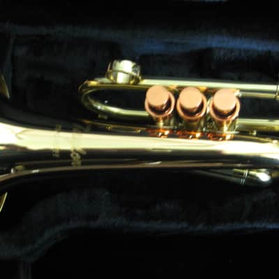 Carol Brass PHAT PUPPY FLUGELHORN 2024 - LACQUER image 4