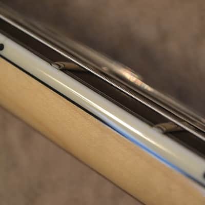 Mayones Regius 25th Anniversary image 16