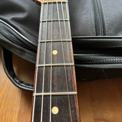 Danocaster Single Cut image 6