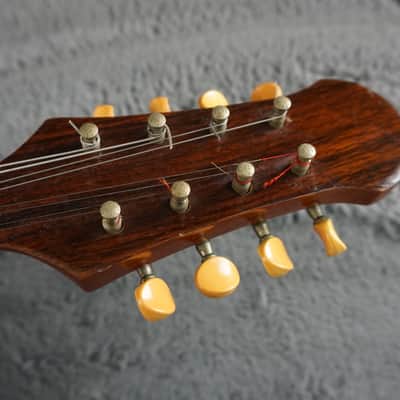 Venezia M-30 Hand Crafted Mandolin image 8