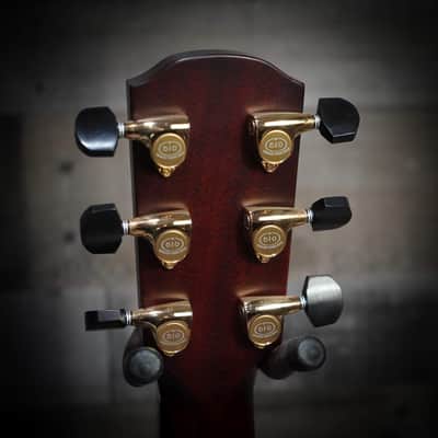 Alvarez Yairi GYM60HDCE Custom Acoustic Guitar (1 of 1) (GYM60HDCE) image 7
