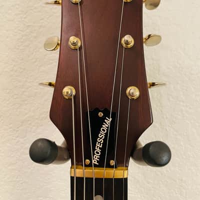 Hondo II H-1020 Les Paul “The Paul” Style Single Cut 1980’s Walnut image 12