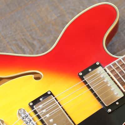Jay Turser ES-335 Style Semi-Hollow Electric Guitar Cherry Sunburst + Gig Bag image 7
