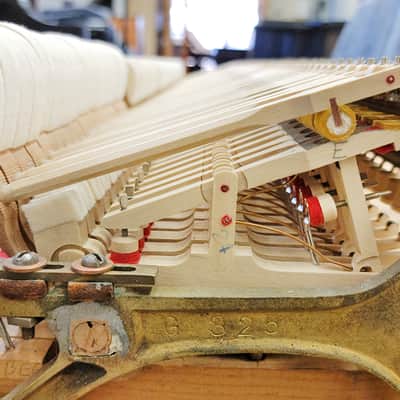 Steinway & Sons Concert Grand Piano image 21