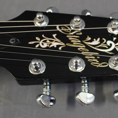 Epiphone Stagebird 6 String Electric Banjo image 11