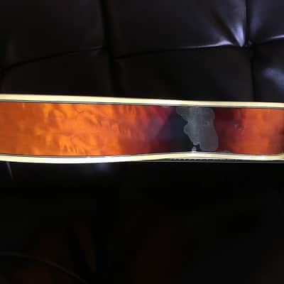 Tacoma M-3 Mandolin image 4