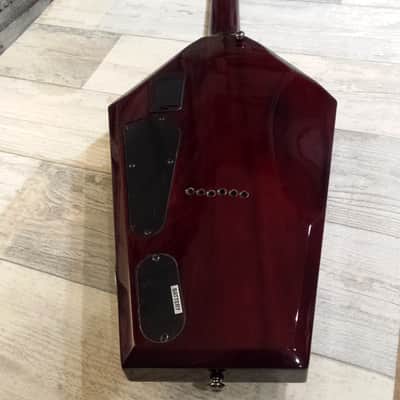 Schecter Hellraiser Casket Electric Guitar EMG Pickups Locking Tuners image 18