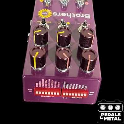 Chase Bliss Audio Brothers AM 2025 - Present - Various - X17938 image 4