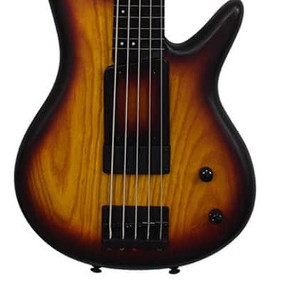 Ibanez Bass GWB205-TQF Gary Willis Fretless 5 image 1