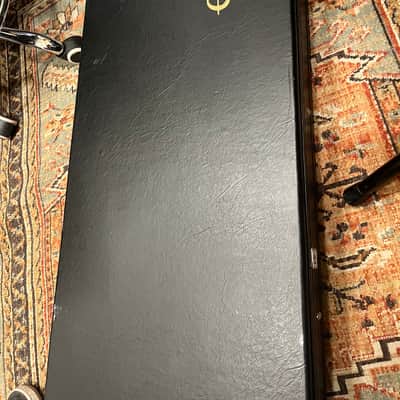 Epiphone Thunderbird Bass Case (Case Only) image 3