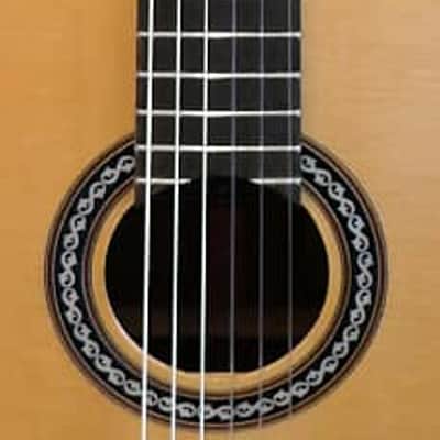 Cordoba C10 Crossover image 18