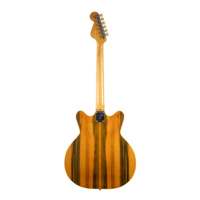 Vintage Fender Coronado II Wildwood III 1967 image 5