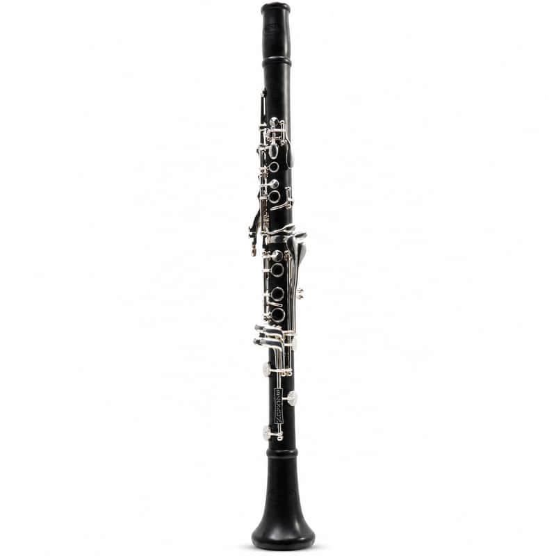 Backun BCLBPROTG-SK 'Protégé' Intermediate Bb Clarinet in Grenadilla SN PZ-10015 image 1