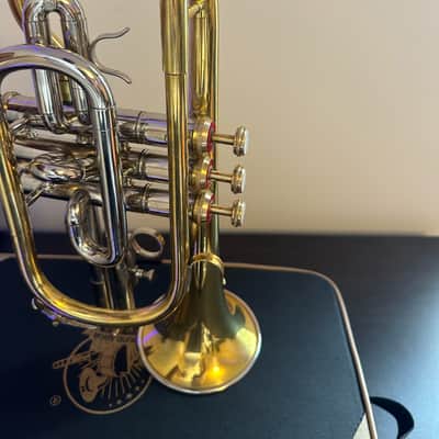 Bb Cornet – Gold/Silver Finish – Complete with Hardcase & Mouthpiece image 7