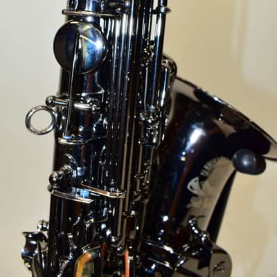 Cannonball A4 Big Bell Stone Series Standard Alto Saxophone, Polished Black Nickel w/ Case image 11