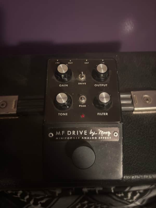 Moog Minifooger MF Drive | Reverb