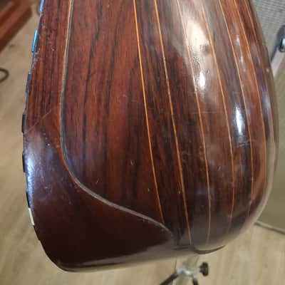 Unbranded Vintage Bowl Back 12 String Mandolin image 5