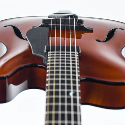 Tim Bram Tribute Archtop Caramel 2021 image 13