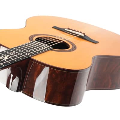 PRS Private Stock Tonare Grand 25th Ann The Tree 2014 image 10